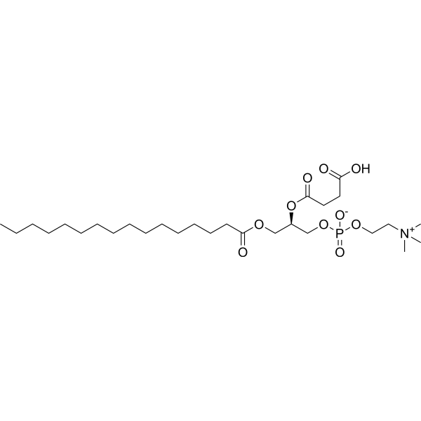 1-Palmitoyl-2-succinyl-sn-glycerophosphorylcholine 89947-80-8